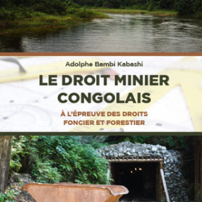 Le droit minier congolais à l'epreuve des droits foncier et forestier