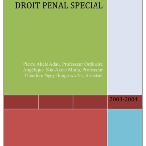 Cours de droit pénal spécial